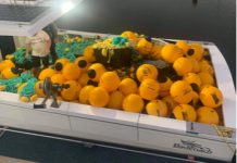 Shark control equipment returned to water