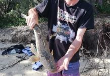 Fishers head offshore