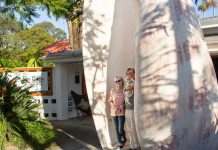 A house for shell lovers