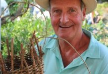 Festival for the environment