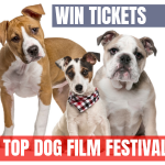 Top Dog Film Festival