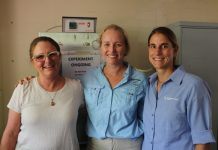 Unexpected winter turtle eggs are viable