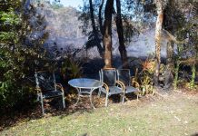 Bush fire threatened homes
