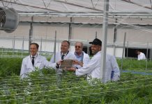 Health Minister opens Queensland’s first medical cannabis farm