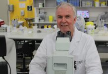 Blood management in older adults questioned