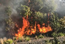 Residents safe to return home