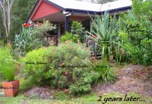 Grow a garden for wildlife