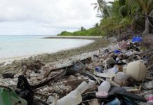 Become a zero-waste society