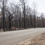 Noosfire_200663_01.jpg