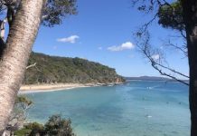 Noosa’s coastline declared World Surfing Reserve