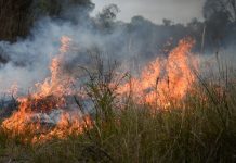 How should we use $1M bushire funds?