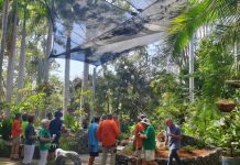 Noosa Botanic’s new shade garden