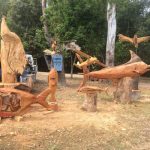 Wood_205424_03.JPG