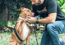 Petbarn Noosa to help raise $100k for pet shelters