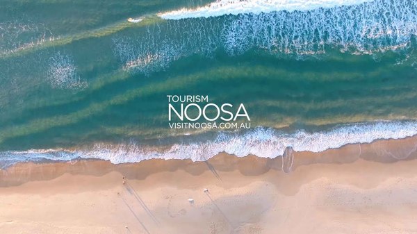 Tourism Noosa's plan to keep members updated | Noosa Today