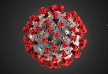 QLD boasts another day zero new cases