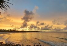 Restrictions to ease for Noosa National Park