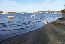 ‘Essential’ boating still allowed