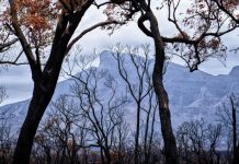 Controlled burns in the area