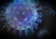 Coronavirus update, Tuesday April 21