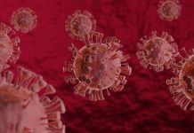 QLD: Another day no new cases