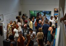 $30k development boost for Noosa art’s