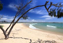 Sunshine Coast holiday parks eager for visitors