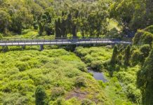 Hope restored: Burgess Creek Project underway