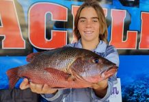 Cold bites, so do reef fish