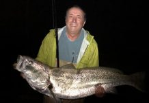 Snapper coming pan sized