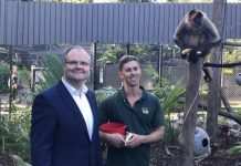 Funding flows for Wildlife HQ