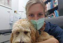 Why you should bring your dog to work