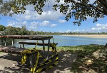 Council to open parks and playgrounds