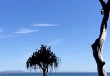 National Park Carpark, Council facilities to reopen