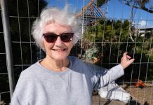 Rising from the ashes