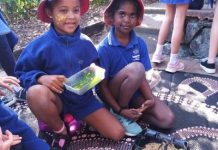 Sharing culture at Sunshine Beach State School