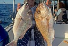 Anglers busy with mix of species