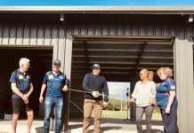 Dolphins expand their space