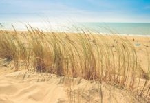 How to bring the Hamptons to your home