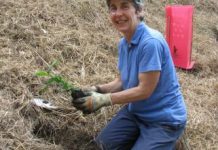 Habitat links wildlife to the community