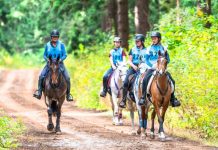 Endurance riding restart of 2020 season