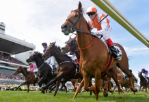 Mates eye Cup double