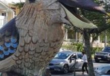 Big bird spreads joy