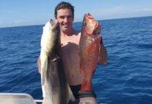 Tributes flow for Coast man after fatal shark attack