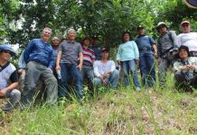 Research offers hope to reforest tropical islands