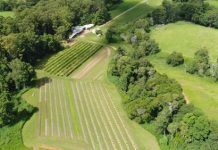 Grant supports jobs at Sunshine Coast fingerlime exporter