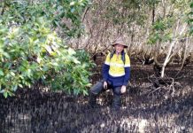 High-tech skills give graduate winning edge