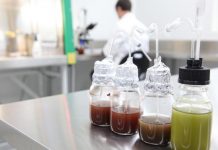 $100,000 grant for Noosa biotech start-up