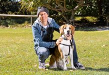 Vet battles against canine virus