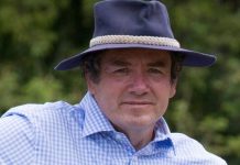 Climate emergency rep nominated